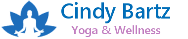 logo-Cindy-Bartz-Yoga-wellness-380-x-80-Update4