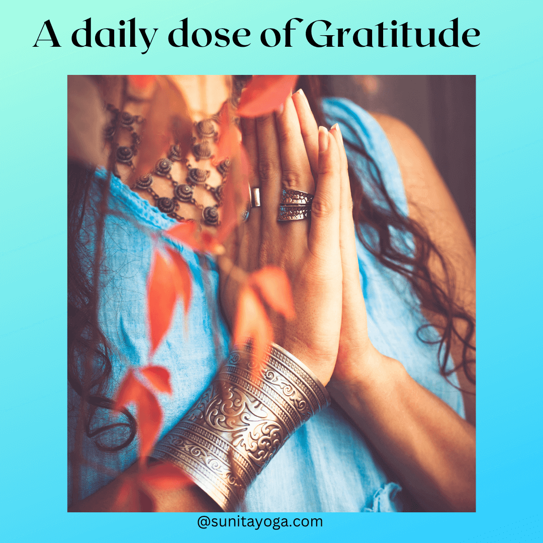 daily dose of gratitude